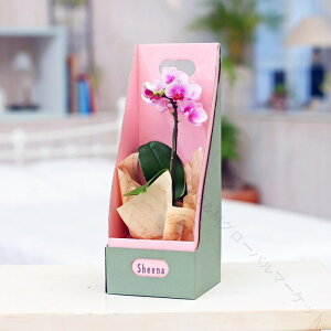 �}�C�N���Ӓ��� 1�{���� �s���N �O���[�s���N 2WAY�M�t�g�{�b�N�X���� ���i���ŉ؂₩�ȏ��^�ϗt�A�� �v���[���g��C���e���A�ɍœK �Ŗ��m�������������ߏ��i