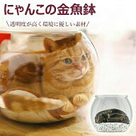 にゃんこの金魚鉢 猫用透明ペットハウス 猫ハウス 透明アクリル製の猫保護カバー 水槽が見える 衝突防止 …