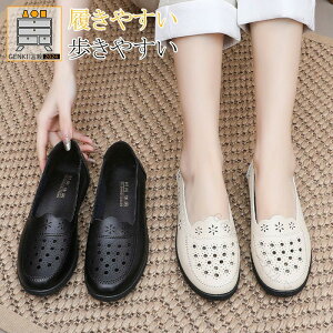 pvX fB[X RtH[gV[Y ₷ _炩 JWAV[Y  C yʐ݌v ɂ ʋΒʊw lC̏pV[Y