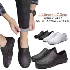 RbNV[Y h Lb`V[Y CV[Y Y fB[X jp Ɩp ƌC y \tgRbNV[Y ϖ ~[  ƌC HiHp HX Lb` 