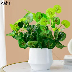 lHϗtA AȔA u Xe ACr[ |gX LM\E 񂵂 { CeAO[ tFCNO[ lHA ϗtA CeA EF