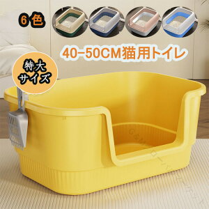 LgC{ lRgC LbggC ^ 􂦂 ybgPA |ȒP e XRbvt 傫 lp  L J ^ ^ юUh~ L XL M 40cm 50cm ubN u[ sN 