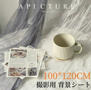 kwiV[g xr[Be TCY100×120cm p[eB[ ؍ Bepwiz }`NX `[ X^WIwiXN[ i`JtF Be  ʐ^p