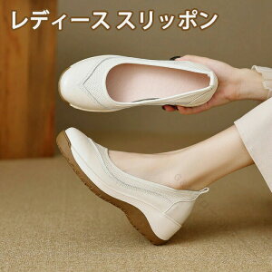 V[Y fB[X Xb|  ʋCQ EH[LOV[Y [t@[ C y y Xj[J[ gAbv  tďH ɂȂ ₷ ɂ r wlC 