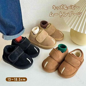 hV[Y LbY [gu[c j̎q ̎q q t@[ ʃt@Xi[ V[gu[c h  C [g Xm[V[Y Xm[u[c EB^[u[c ɂ AE