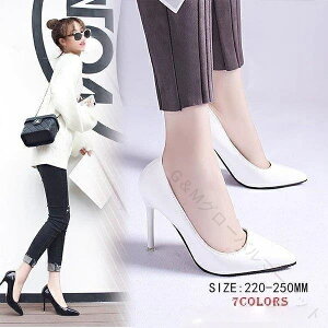 nCq[ fB[XC  ɂȂ q[10cmsq[ |CebhgD V[Y ʋ  N[g 傫TCY TCY ŉKȗSn̏ppvX