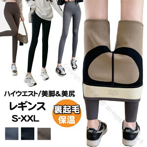 MX ~ fB[X Nу^Cc MX nCEGXg  Xpbc  _炩 n ۉ ێ H~ Lk hۉ q[g ׌ r pc A_[ [EFA K[