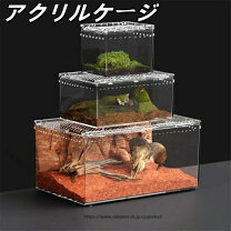 楽天市場】アクリル 水槽（爬虫類・両生類｜ペット・ペットグッズ）の通販