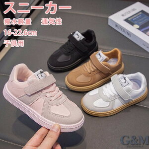 LbYV[Y ^C ʊwC qC LbY WjA Xj[J[ ʊw jOV[Y qǂ ̎q RۖhL ct Cws nCLO  X|[c v[g