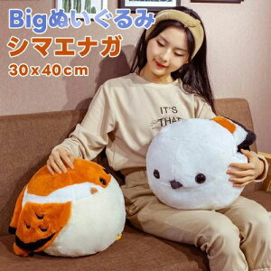 V}GiK GiK 30cm*40cm BIGʂ  Ƃ g ʂ ObY n kCV}GiK  킢 rbOʂ  ǂ̓ av[g NX}XMt
