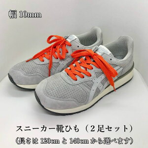 靴用品 靴ひも ナイキの人気商品 通販 価格比較 価格 Com
