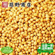 イエローマスタードシード　100g　カナダ産　色彩選別済品　送料無料　マスタード　からし　ポイント消化…