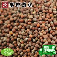 ブラウンマスタードシード　1kg　選別品　送料無料　マスタード　からし　カナダ産　ポイント消化　最安…