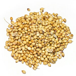 yƖpzRA_[iz[XpCXjy500gz/ XpCX ^ h J[XpCX@y3,980~ȏőIzlR|XΉ