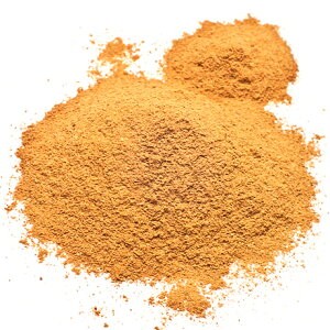 yƖpzViipE_[XpCXjy500gz/ XpCX  h@y3,980~ȏőIzlR|XΉ