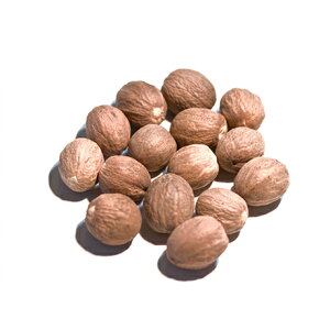 yƖpzicOiz[XpCXjy500gz/ XpCX ^ h @y3,980~ȏőIzlR|XΉ
