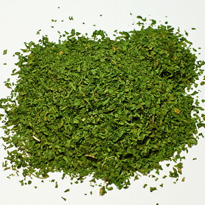 yƖpzpZiJbgjy500gz/ XpCX n[u   hCn[u@y3,980~ȏőIzlR|XΉ