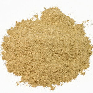 yƖpzIKmipE_[XpCXjy500gz/ XpCX  h n[u   hCn[u@y3,980~ȏőIzlR|XΉ