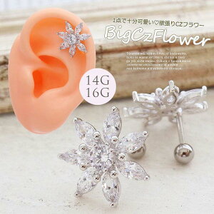 {fBsAX sAX m14G 16G nSPICYLIPS IWi 1_ ŏ[  BIG L[rbNt[ `[tBۗVo[  flower wbNX [Vo[ ]0248 {fB[sA