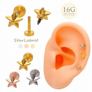 {fBsAX sAX m16G nlW`ȂĂ₷I X^[  ubg gKX z[ɕS̏ȂC^[i 0379 {fB[sAX