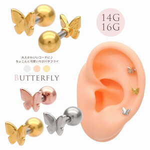 {fBsAX sAX m14G 16G n傱Ɖуo^tC Ɛ▭ȗ̊|Cg ^ wbNX 0881 {fB[sAX