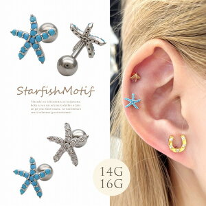 {fBsAX sAX m14G 16G nl}X^CĂX^[tBbV qgf `[t Xg[g wbNX 0538 {fB[sAX