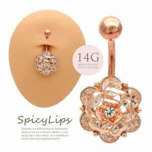 {fBsAX ւsAX [14G ]炵Y؂₩̃JA `[t 0467 {fB[sAX