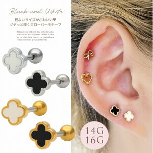 {fBsAX sAX m14G 16G n悢TCY킢cƋPN[o[ `[t Xg[g wbNX 1003 {fB[sAX