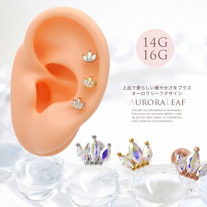 {fBsAX sAX m14G 16G niň炵؂₩vX I[ [t fUC  Xg[g wbNX 1100 {fB[sAX