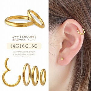 {fBsAX sAX Best16 m14G 16G 18G niŃZOgOqWtALb`͂ȂIT[WJXeX316L ^b` S[h SS G-70 {fB[