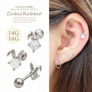 {fBsAX sAX m14G 16G nl킢݊L[rbN rbg rabbit ETM  wbNX 0625 {fB[sAX