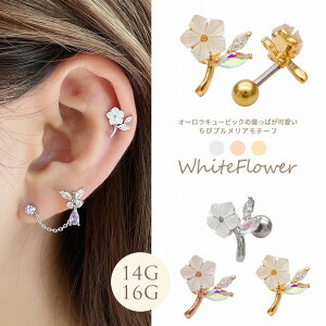 {fBsAX sAX m14G 16G n@ׂȃfUCl уvA`[t  t[ Xg[g wbNX 1079 {fB[sAX