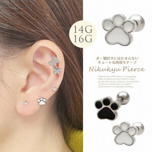 {fBsAX sAX m14G 16G n`L`Dɂ͂܂Ȃ cuteȓ`[t Xg[g wbNX 1036 {fB[sAX