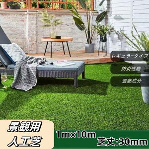 lH N[o[^[t M[^Cv i ŏ30mm 1m×10m 1{ O\H K[fjO Ȓ {̃tFCNO[ zs
