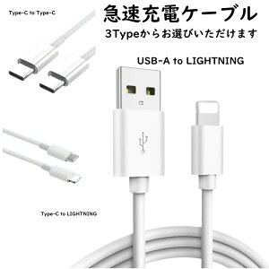 [DBH]iPhone Android [dP[u Lightning PD Type-C 1m iphone USBP[u iPhone15 iPhone14 iPhone13 Pro iPhone12 ipad Fؕi GALAXY R[h f[^] 100cm [d