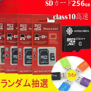 [DBH]}CNSDJ[h 256GB microSDJ[h ϊA_v^t class10 }CNSDXCJ[h NX10 microSDXCJ[h