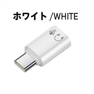 Type-C to Lightning ϊA_v^[ CzWbN ϊ I[fBI A_v^ LightningCz Type-C[q ڑ ϊP[u yĐ ʘb }CN  R  Ή X}[gmCYL