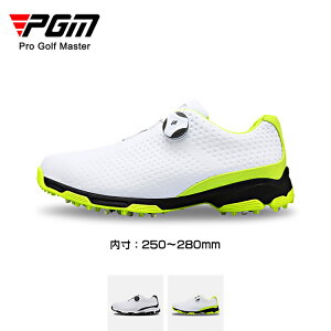 {v StV[Y Y XpCNX _C Xj[J[ 傫TCY 28cm 4E L _CXpCNX tBbg V[Y St y ₷ ϊ h ϋv K r