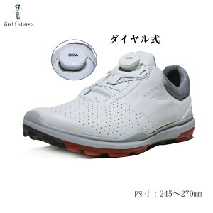 StV[Y  Y 傫TCY fB[X _C \tgXpCN XpCNt XpCNe 28.5cm TCY 4E L tBbg Xj[J[ V[Y St y ₷