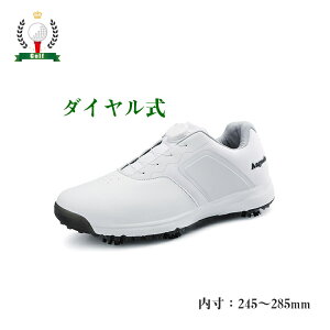 StV[Y Y XpCNX  傫TCY 4E L    StV[Y 28cm StV[Y XpCNX L tBbg V[Y St y ₷ ʋC 