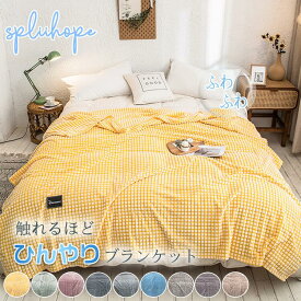 チェック柄 薄手 毛布 ブランケット タオルケット ショール 暖かい 夏用 エアコン対策 夏掛け布団 肌布団 洗える 洗濯機 軽量 膝掛け 肩掛け お昼寝 防寒対策 冷房対策 雑貨 寝具 春秋冬 車中泊 キャンプ 70*100cm 100*120cm 120*200cm 150*200cm 180*200cm 200*230cm