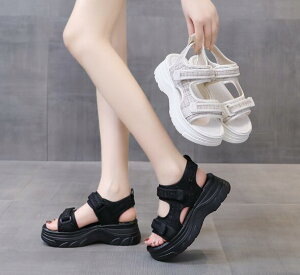  T_ r[`T_ fB[X V[Y C   RtH[gT_ Vv  r AEghA X|[cT_ rW[ T_ K JW