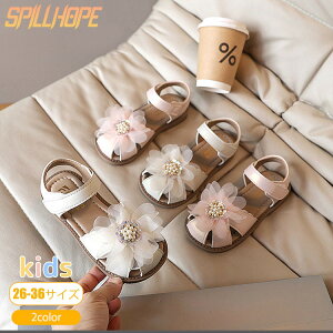 V LbY T_ ԕ [X ^ 傫TCY  q C V[Y ₷ y  xN ~ \tg\[ RtH[g t@V ̎q w ʊw ʉ o