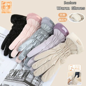 N  fB[X O[u 5{w  n  X}zΉ ~ h΍  h ۉ h  ~ H t g  y w Z ʊw ʋ ItBX ] 