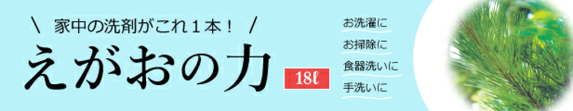 えがおの力18L