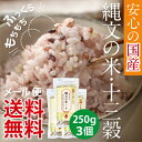 【メール便送料無料】武富勝彦さんの古代米雑穀ブレンド「縄文の米 十三穀」250g×3個