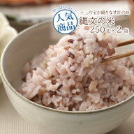 【メール便送料無料】武富勝彦さんの古代米雑穀ブレンド「縄文の米 十三穀」250g×2個 雑穀米