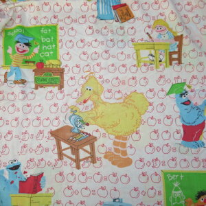 SESAME STREETZT~Xg[grbOo[hBig BirdNbL[X^[CookieMonsterIXJ[Oscar The GrouchA[j[o[gtBbgV[c{bNXV[cVINTAGEʂ