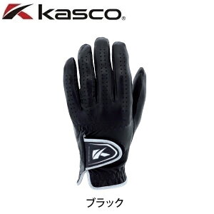 LXR StO[u DNA SHEEP V[v Y p rv  GF-2012y[֔zz