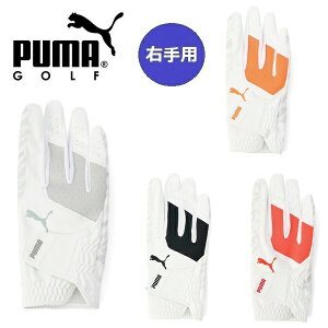 v[} St O[u PWR Obv O[u Ep Y PUMA Golf 041880 y[֔zz